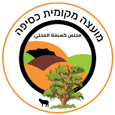 מועצת כסיפה